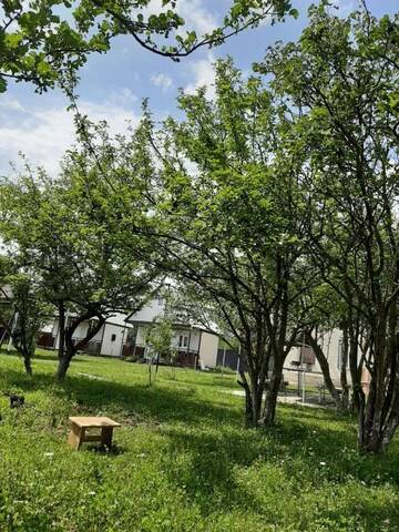 Фото номера Семейный номер Гостевой дом Cottage in Tianeti г. Tʼianetʼi 26