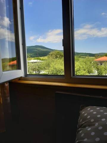 Фото номера Семейный номер Гостевой дом Cottage in Tianeti г. Tʼianetʼi 9