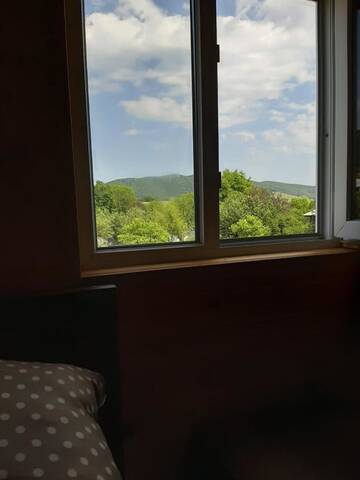 Фото номера Семейный номер Гостевой дом Cottage in Tianeti г. Tʼianetʼi 11