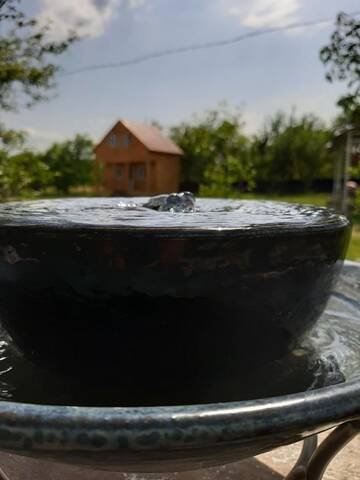 Фото номера Семейный номер Гостевой дом Cottage in Tianeti г. Tʼianetʼi 13