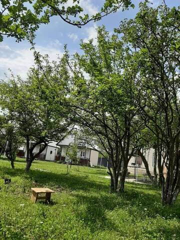 Фото номера Семейный номер Гостевой дом Cottage in Tianeti г. Tʼianetʼi 12